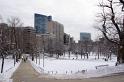 Boston14012011_06